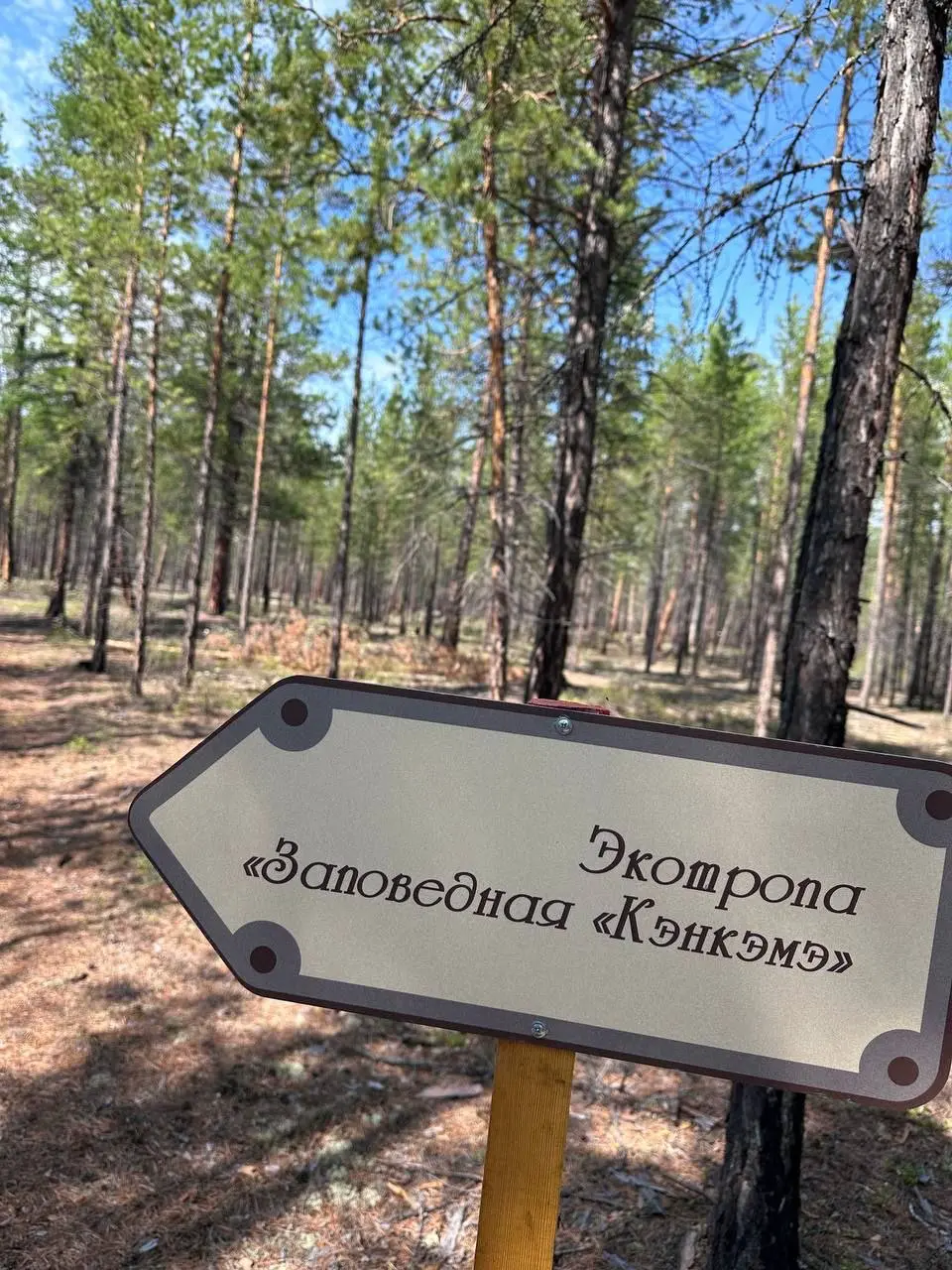 Экотропа Заповедная Кэнкэмэ