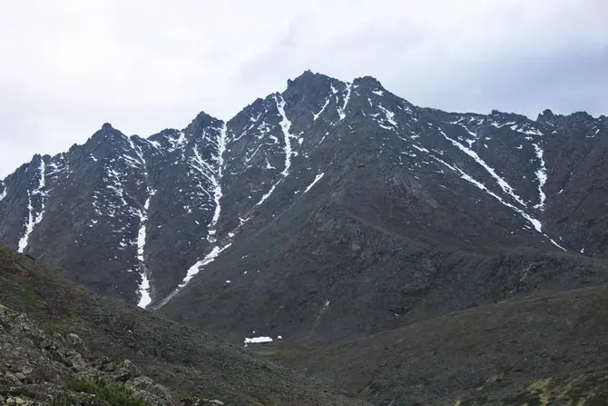 Афродита хайата